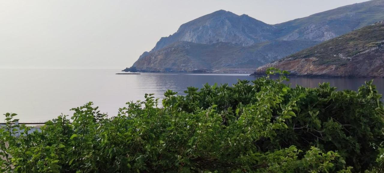 Blue * Skyros